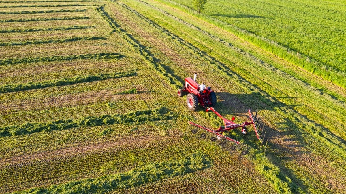 Exigência de CNPJ para produtor rural fica para 2027; veja regras