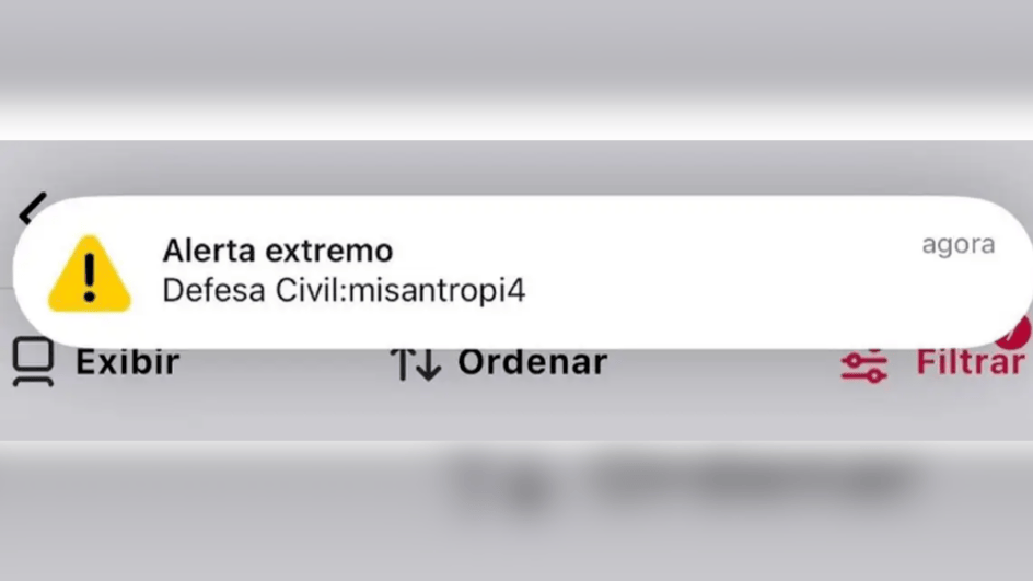 Alerta apareceu de forma destacada nas telas de 30 milhões de celulares (Foto: Reprodução)