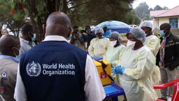 OMS declarou surto de ebola em países da África (Foto: OMS, Divulgação)