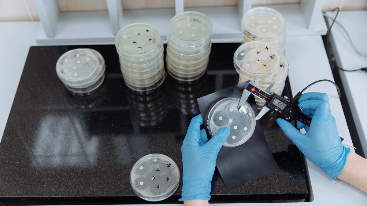 Técnica usada no estudo busca alterar pontos específicos do DNA com mais precisão do que métodos anteriores. (Foto: Pexels)