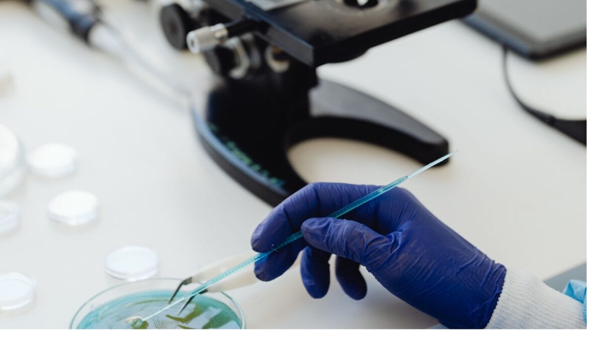 Edição de bases permite modificar letras específicas do código genético sem cortar grandes trechos do DNA. (Foto: Pexels)