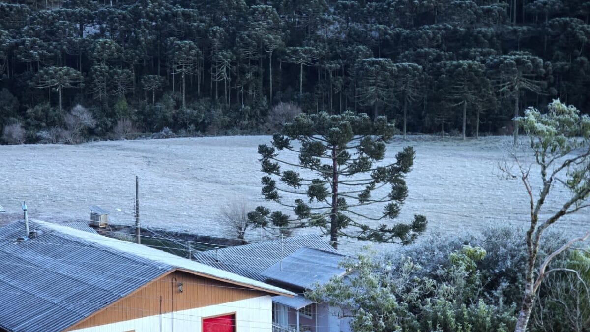 Frio de -9,1°C congela a paisagem na região mais fria do Brasil em dia de inverno rigoroso