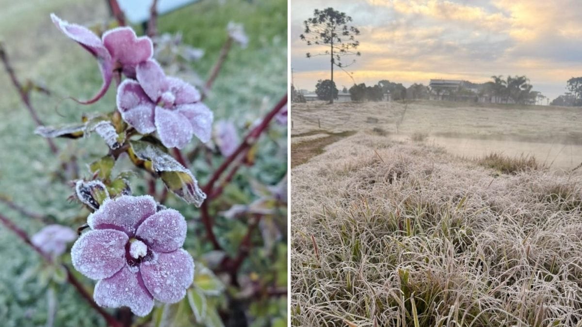 frio no planalto norte de sc