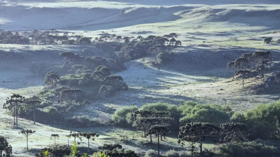 Temperaturas podem ficar negativas em grande parte de SC e do RS (Foto: Governo do Estado de SC, Divulgação)