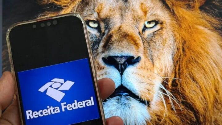 Quem recebe esse lote especial de restituição são aquelas pessoas que não atingiram os critérios de obrigatoriedade de entrega da declaração (Foto: Rafa Neddermeyer, Agência Brasil)