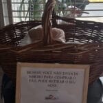A infância difícil que inspirou família a dar pão de graça a quem não pode pagar em padaria de SC