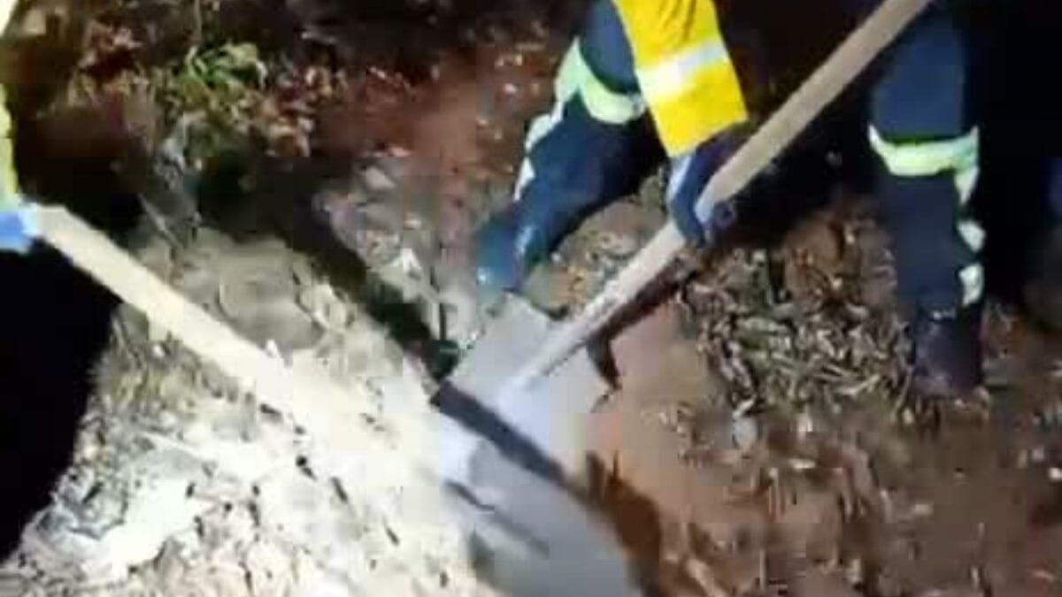 Adolescente morta no Oeste de SC