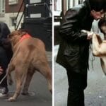 Astro de Hollywood vendeu o próprio cão por US$ 40 para comprar comida e depois o comprou de volta por fortuna