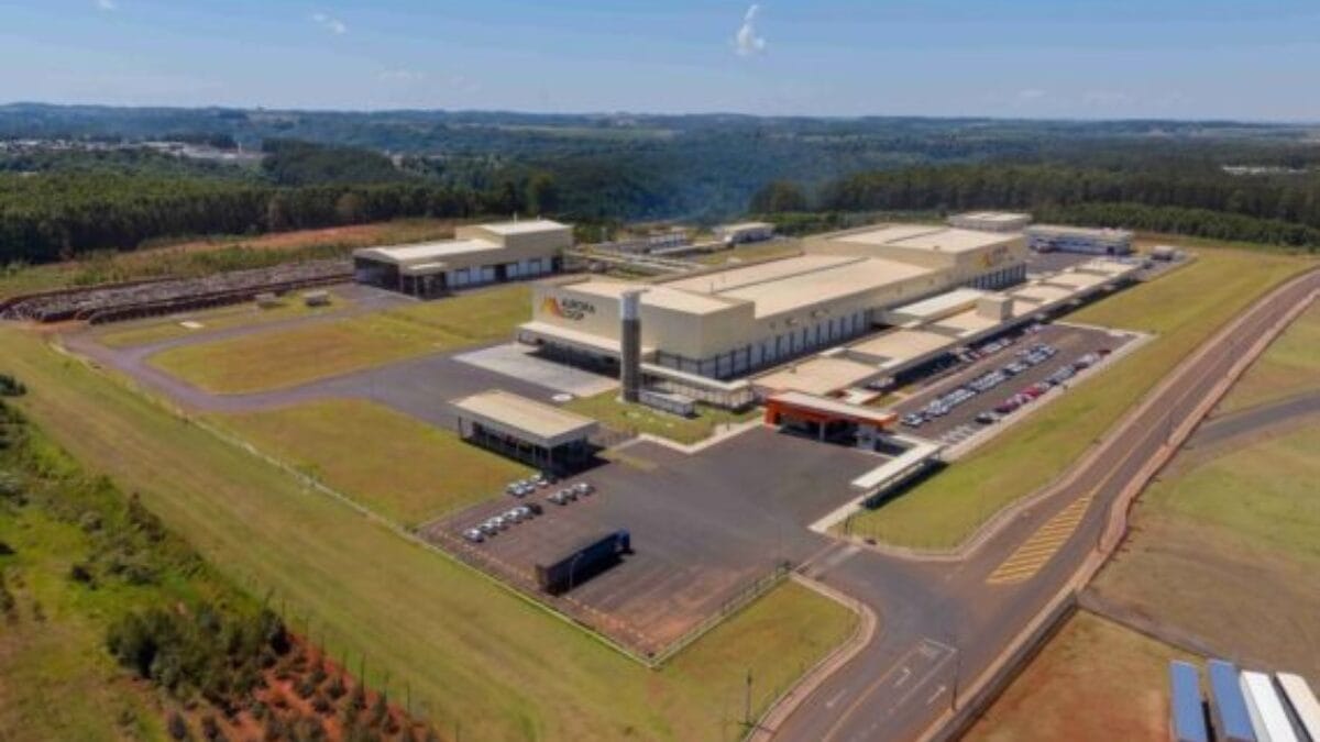 Como região de SC se transformou no coração do da produção de carne suína no Brasil com frigorífico gigante