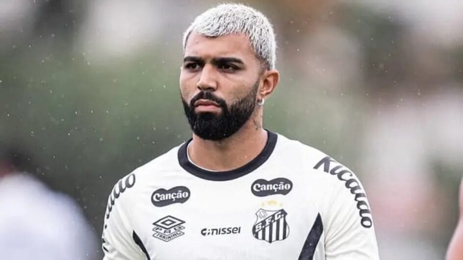 Gabriel Barbosa é atleta do Santos (Foto: Raul Baretta, Santos FC)