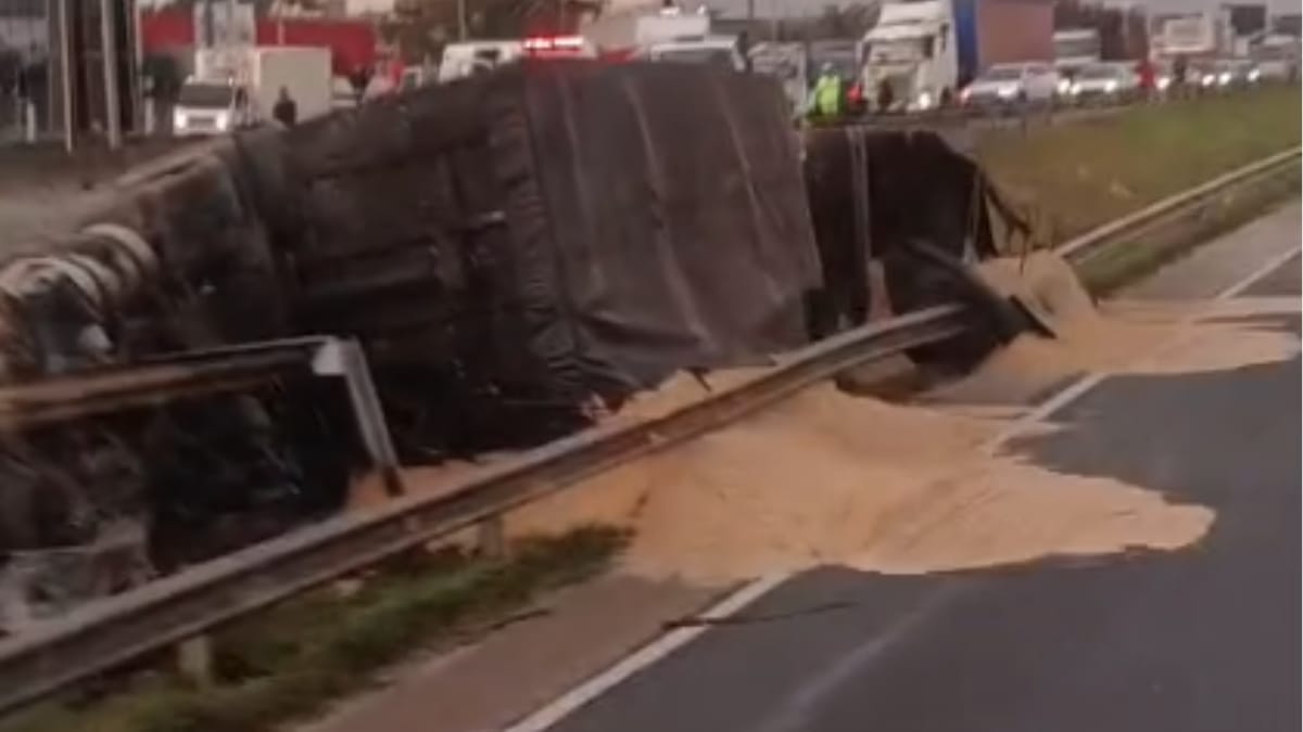 Caminhão capotado na BR-101 em Tijucas (Foto: Arquivo pessoal/Guarda Municipal)