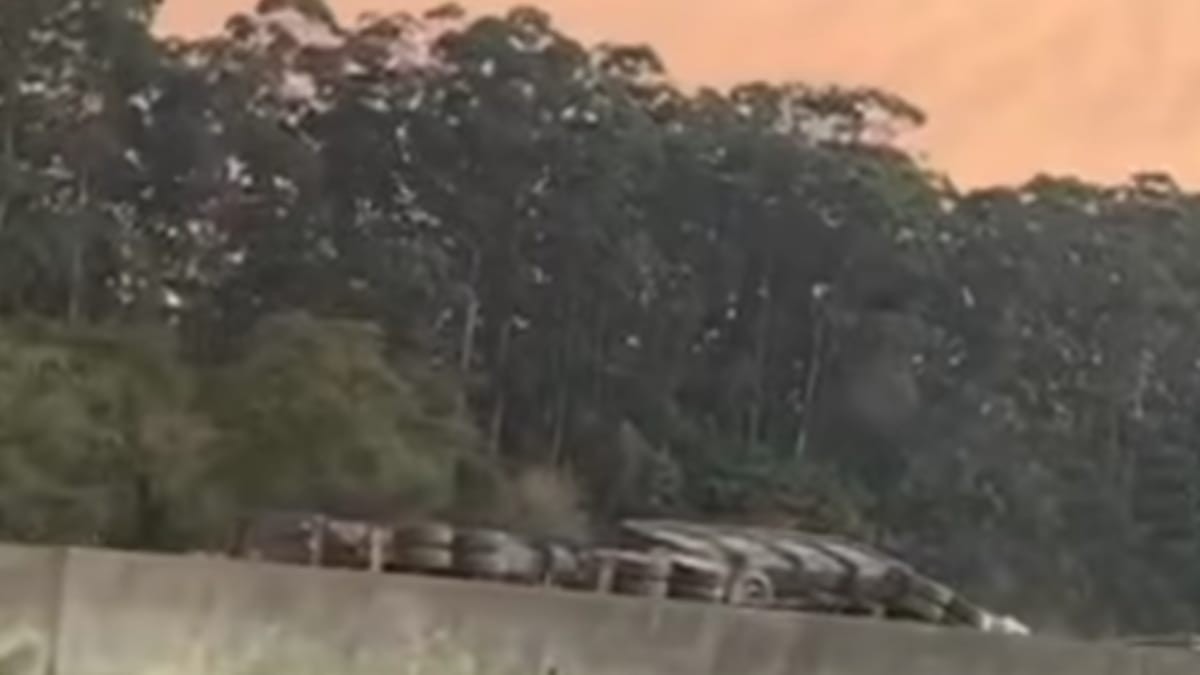 Caminhão capotado na BR-101 em Tijucas (Foto: Arquivo pessoal/Guarda Municipal)