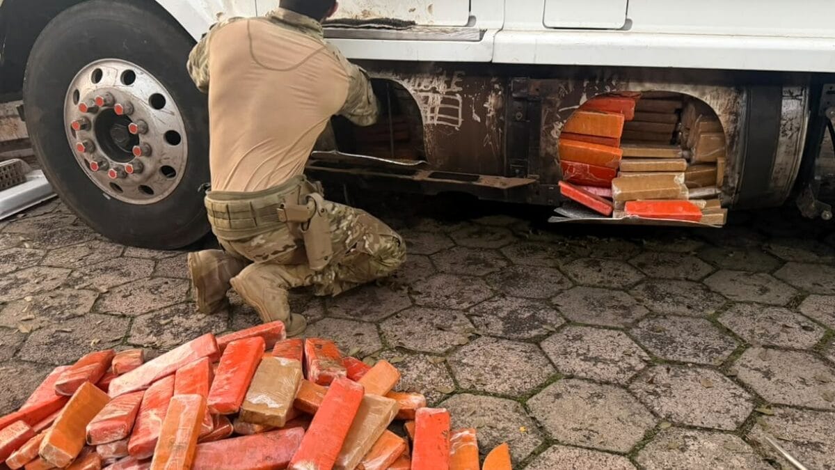 Silêncio de motorista paraguaio e “faro fino” de cão levam à apreensão de meia tonelada de droga na BR-282