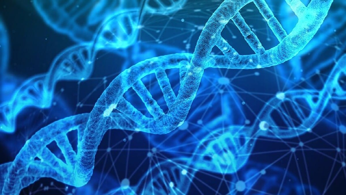 Se homens neandertais tiveram filhos com mulheres sapiens com mais frequência, isso ajudaria a explicar parte do padrão visto no DNA de populações atuais (Foto: Geralt / Wikimedia Commons)