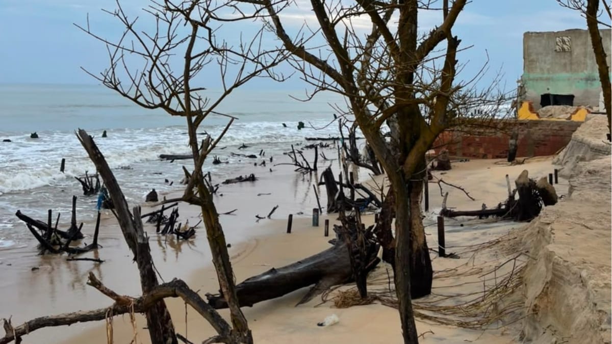 Empresa de SC tenta frear avanço do mar que já destruiu 15 quadras no Rio de Janeiro Foto Divulgação, SEACARUSO)