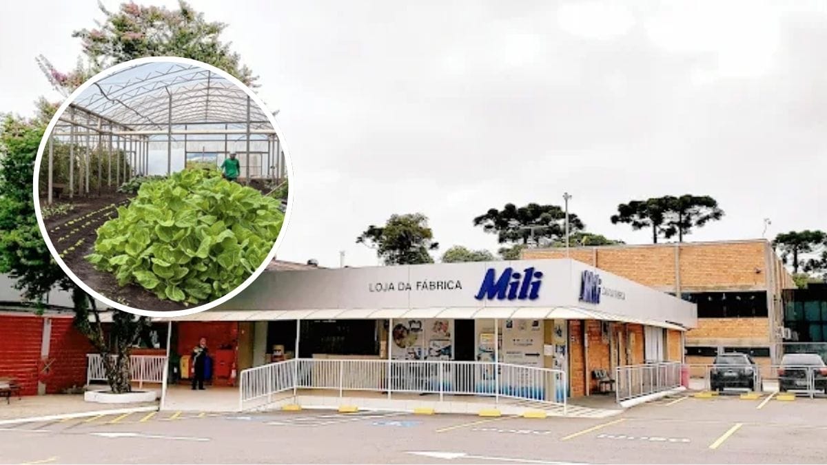 horta na empresa mili