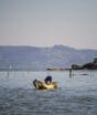 Prazo para nova licença da pesca artesanal do camarão termina com Laguna concentrando quase 70% dos cadastros  