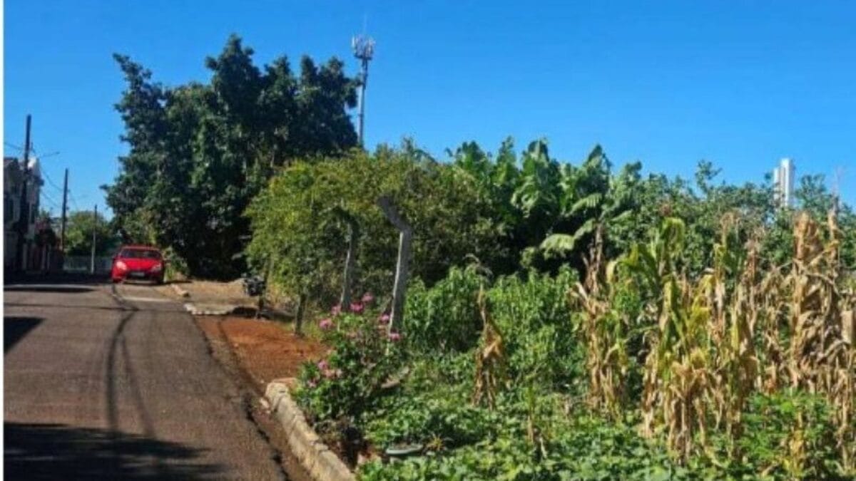 Lote 18 fica no Conjunto Habitacional Bela Vista