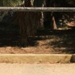 Criança de 10 anos morre após ser atingida por trave de futebol em praça em obras de Criciúma 