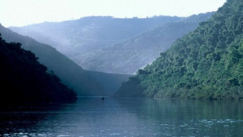 grande lago cercado de vegetação
