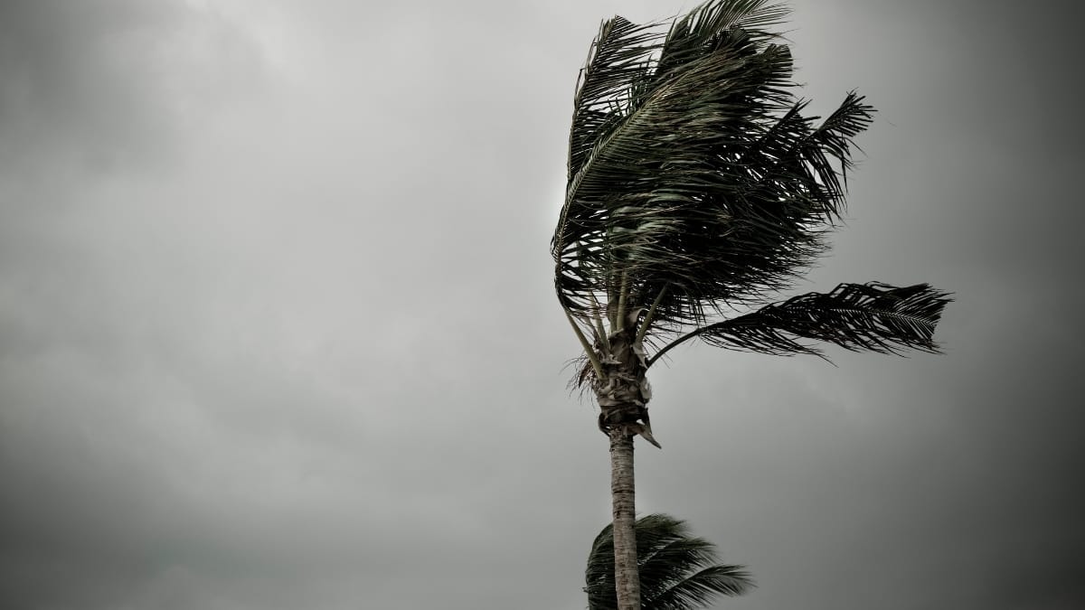 Alerta de perigo deixa 40 cidades de SC na rota de tempestades e ventos de até 100 km/h