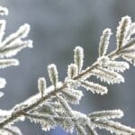 Nova onda de frio no Brasil atingirá em cheio o Sul do país com dias congelantes e chance de geada