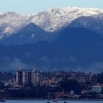 Neve no Morro do Cambirela: fotos de 2013 relembram fenômeno raro que encantou Santa Catarina