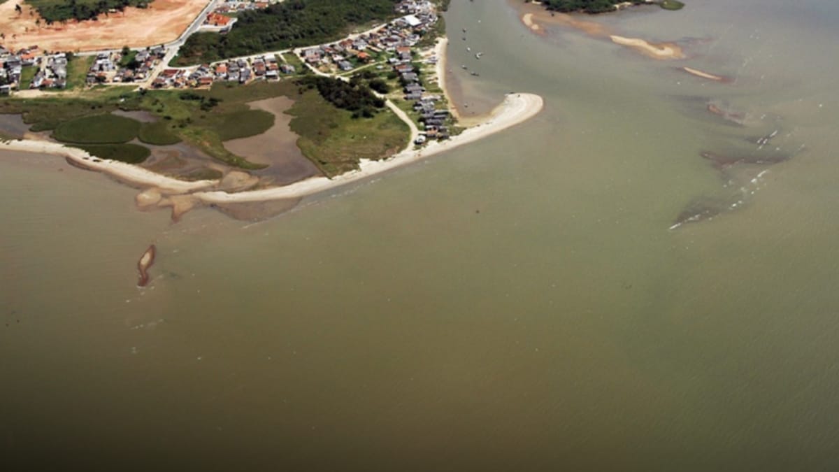 Obra prevê retirada de sedimentos ao longo do rio para melhorar o escoamento da água e reduzir riscos de enchentes (Foto: Divulgação, Prefeitura de Biguaçu)