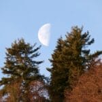 Qual a fase da Lua hoje? 22/07/2026
