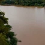 Defesa Civil alerta para nível do Rio Uruguai e ameaça de inundação em 5 cidades do Oeste de SC