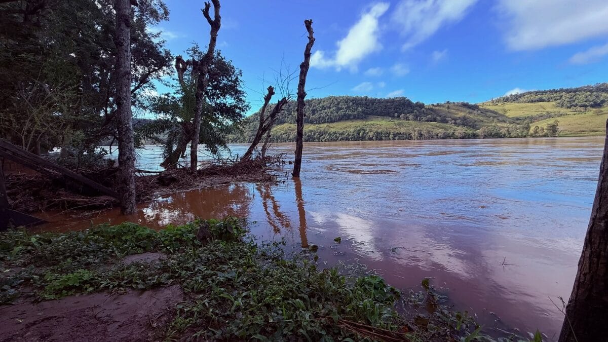 Rio após chuva em Palmitos