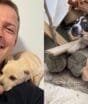 Filhotes são abandonados em terreno sem água ou comida por uma semana, mas surfista resgata animais e muda destino