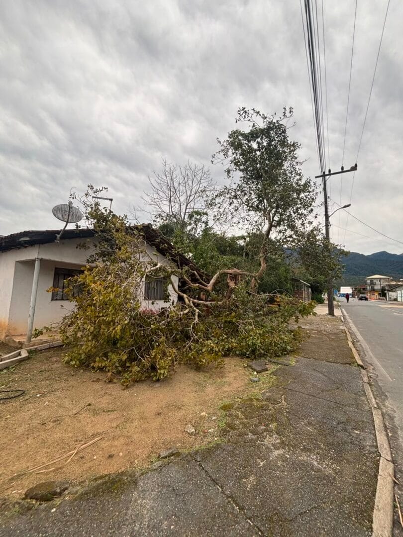 Ventos em Garuva