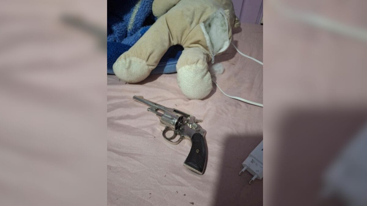 Arma foi encontrada dentro de urso de pelúcia (Foto: PMSC, Divulgação)