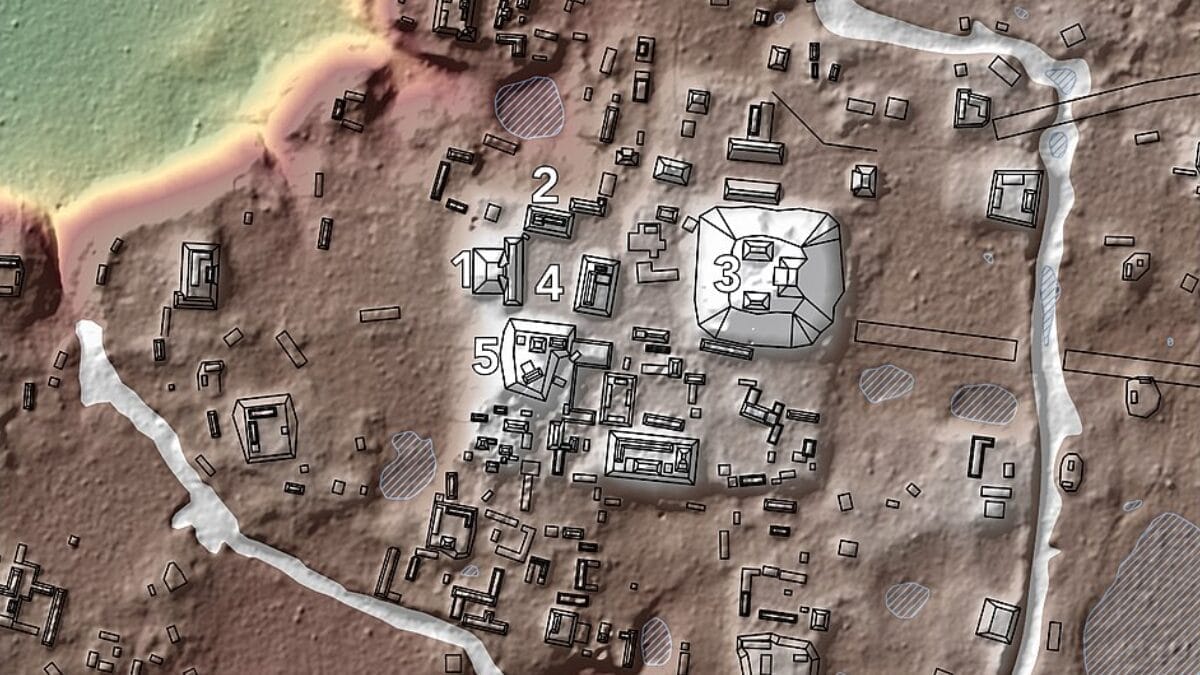 Modelo LiDAR revela plataformas, praças e construções do centro político e cerimonial maia de El Tintal (Foto: Carlos R. Chiriboga/PAET / Wikimedia Commons)
