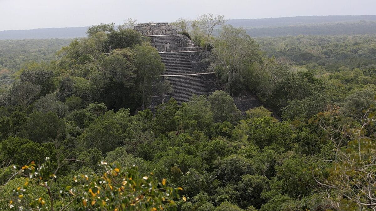 Sítio de 15 hectares sem sinais de saque abre uma rara janela para entender como cidades maias funcionavam (Foto: panza-rayada / Wikimedia Commons)