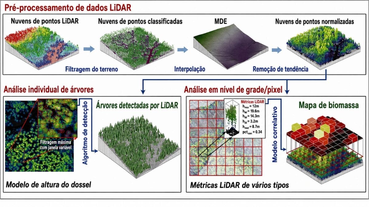 Milhões de medições de distância formam uma nuvem de pontos com informações sobre a altura da vegetação e do solo (Foto: Bnurs / Wikimedia Commons / Imagem Editada)