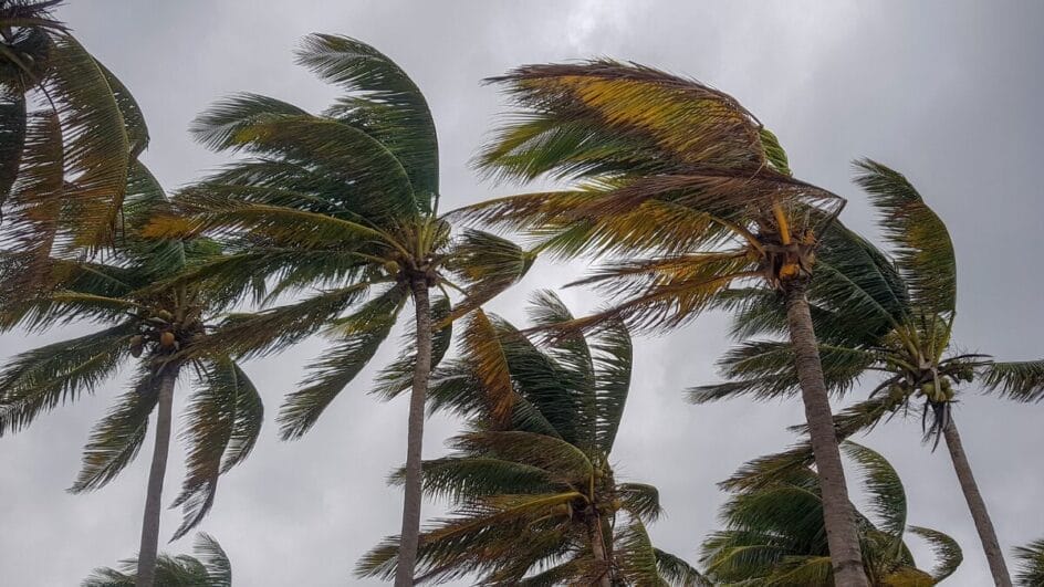 Alerta indica ventos fortes para Santa Catarina (Foto: Banco de Imagens)