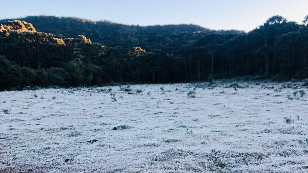 Amanhecer em Bom Jardim da Serra teve campos congelados com geada (Foto: Carlos Alberto, Arquivo Pessoal)