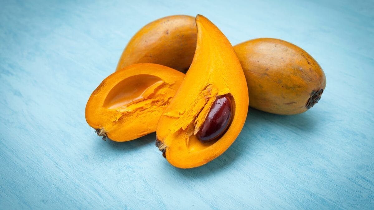 fruta ovo canistel eggfruit sabor doce de leite (7)
