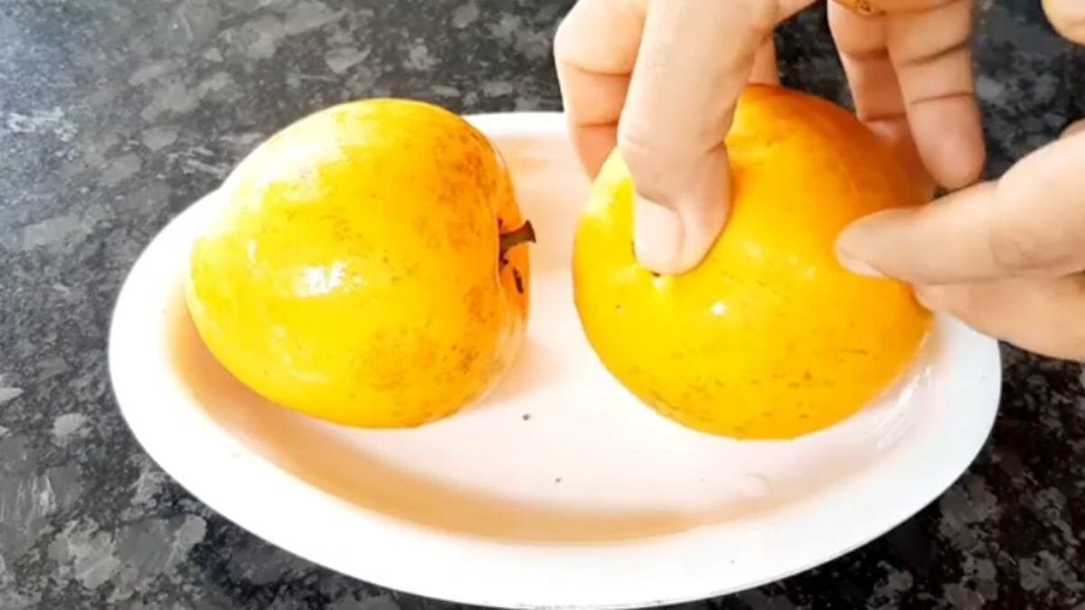 como usar a fruta ovo canistel eggfruit sabor doce de leite