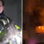 “Precisava encontrar ele”: Bombeira acha gato em apartamento em chamas e emociona ao contar o resgate em SC