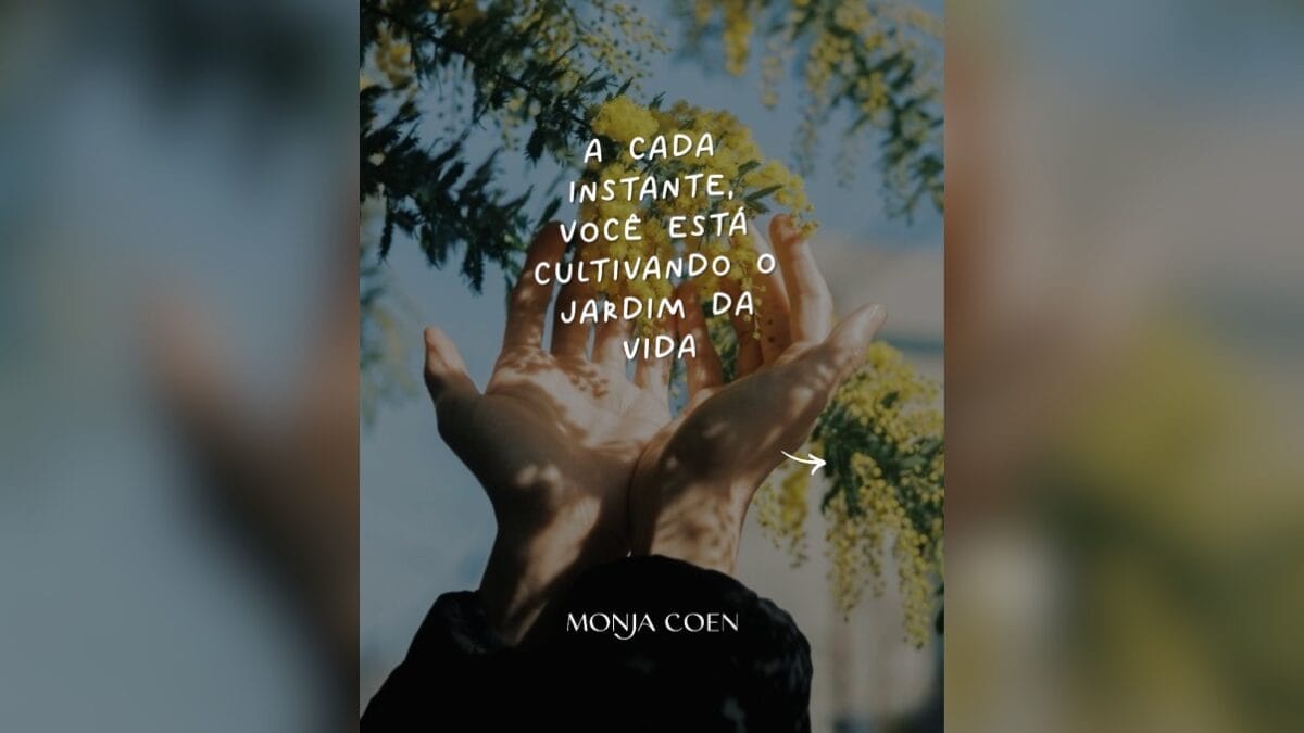 mensagem monja coen
