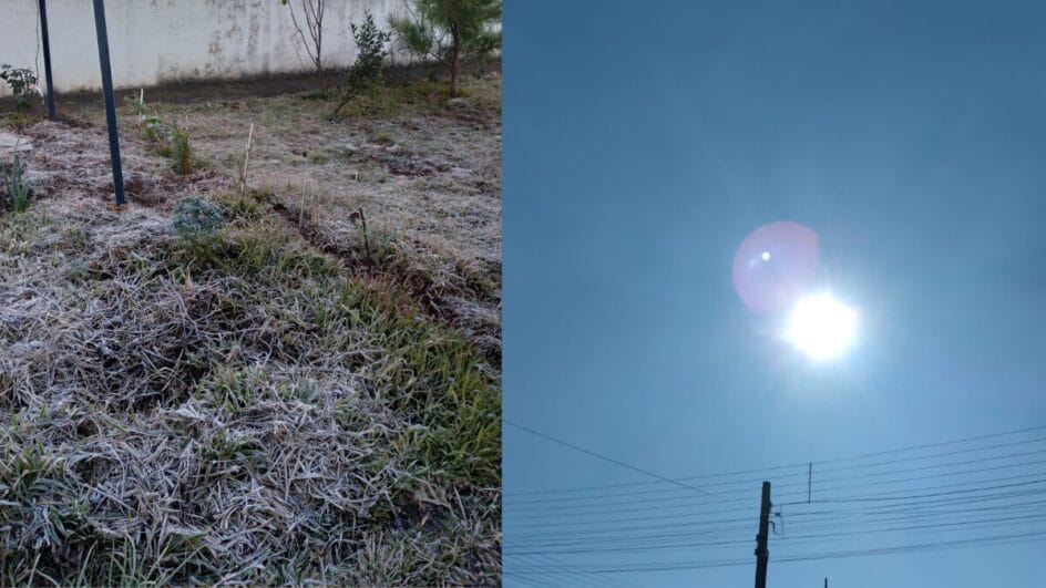 de um lado, gramado com geada, do outro céu azul e ensolarado