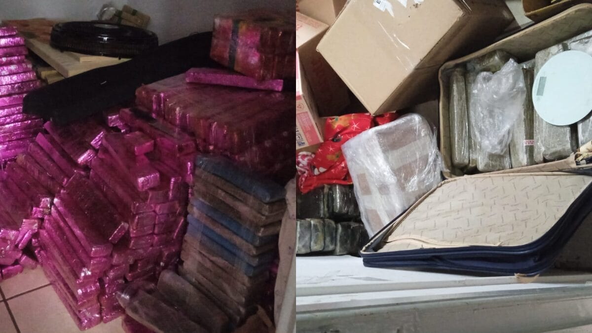 Foram apreendidas drogas durante o cumprimento dos mandados da operação Tela Oculta (Foto: PCSC, Divulgação)