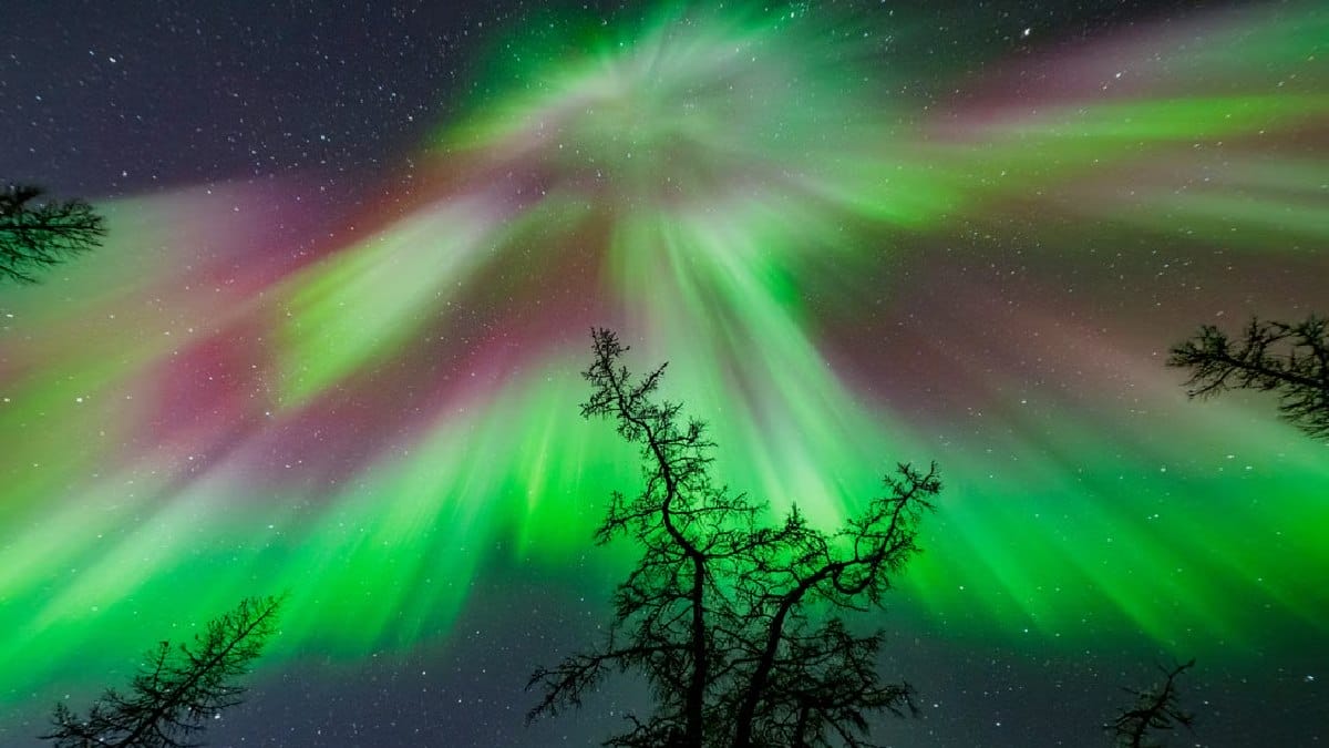 A aurora boreal se forma quando partículas solares guiadas pelo campo magnético colidem com oxigênio e nitrogênio na alta atmosfera (Foto: Виктор Куликов / Pexels)