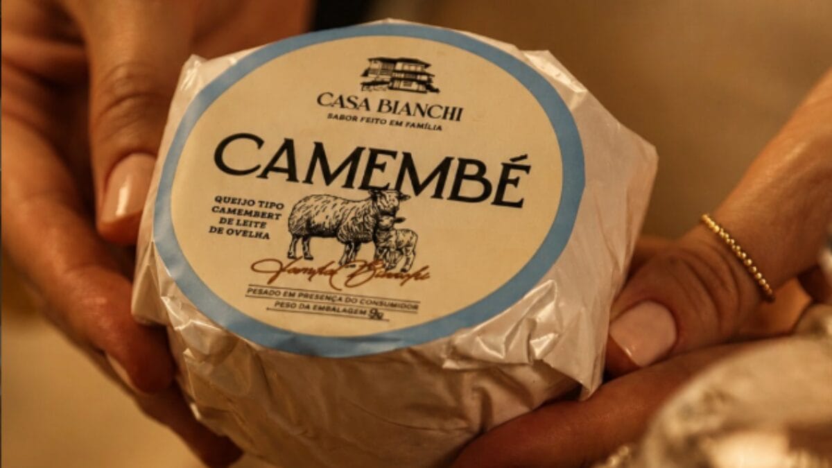 Queijo produzido em pequena cidade de SC é premiado em maior concurso das Américas