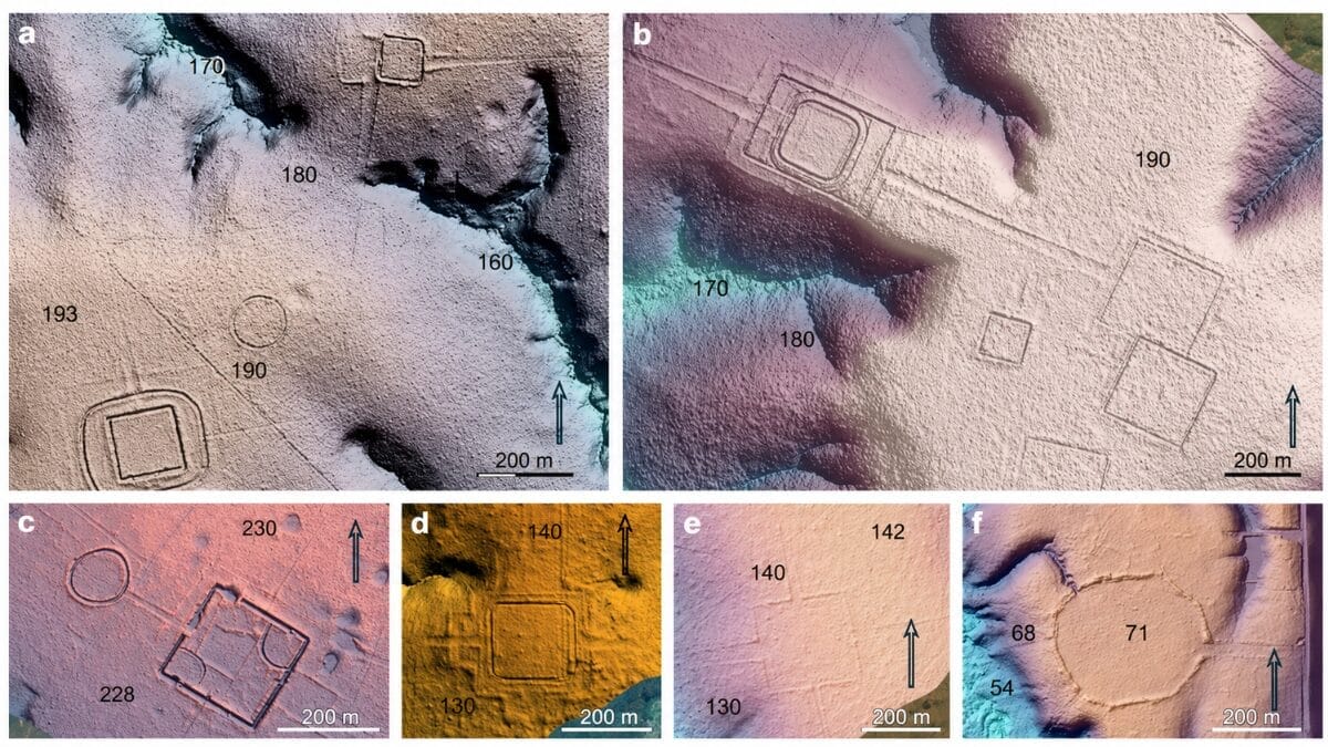 Exemplos de geoglifos registrados no artigo (Imagem: Pärssinen et al. / Nature — CC BY 4.0; adaptada)