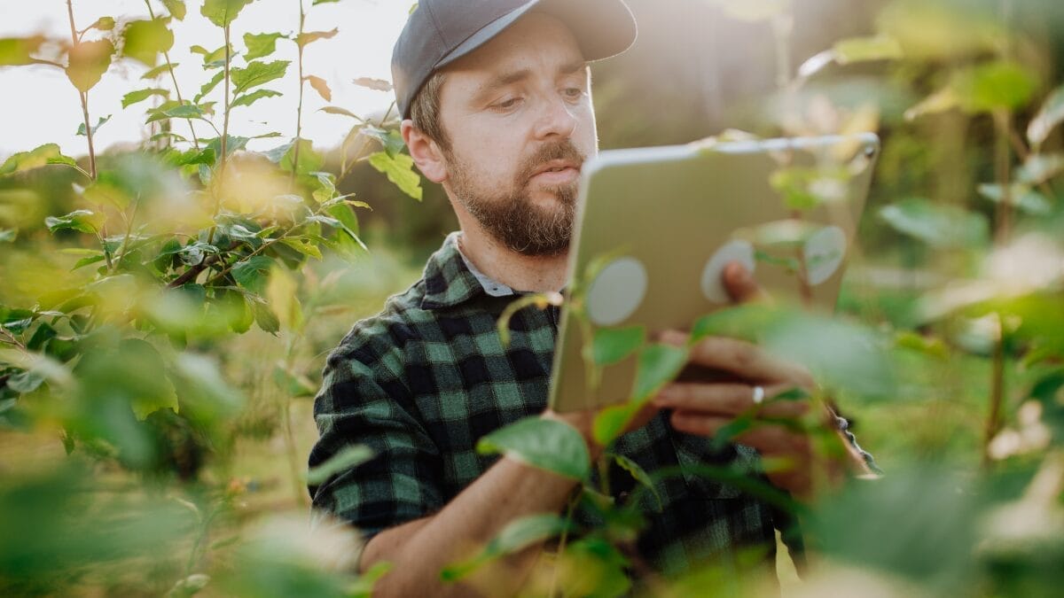 softwares agro