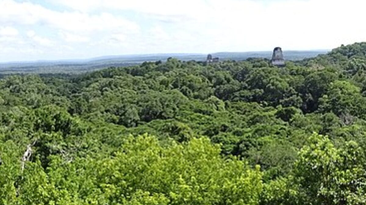 Em Tikal, um sepultamento parcialmente cremado de dois homens foi interpretado como resultado de um ritual de sacrifício (Foto: Adam Jones / Wikimedia Commons)